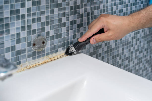 Best DIY Mold Remediation Support Services in Citrus, CA
