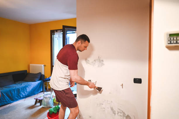 Best Black Mold Remediation in Citrus, CA